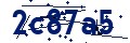Código de seguridad