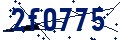 Código de seguridad