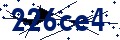Código de seguridad